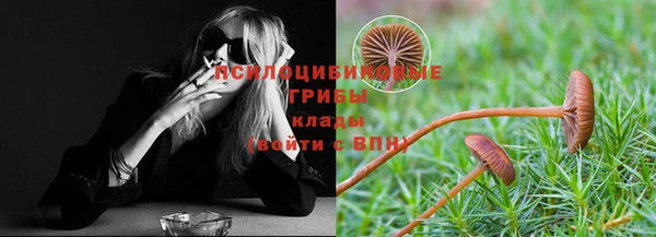спайс Зерноград