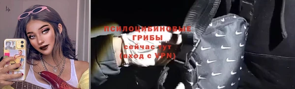 тгк Зеленодольск
