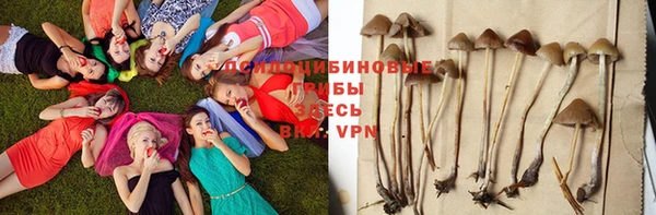 спайс Зерноград