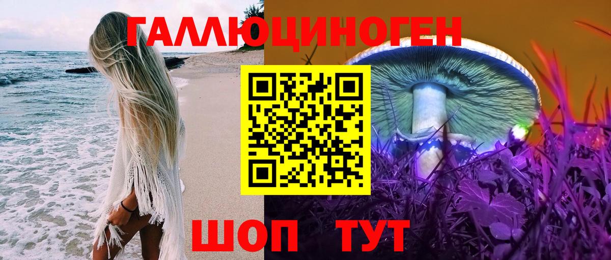 Псилоцибиновые грибы прущие грибы Таганрог